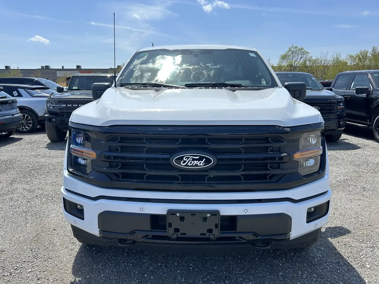 Ford F 150 снимка Ford F 150