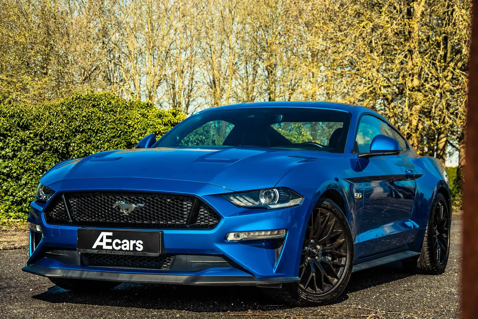 Ford Mustang GT *** 5.0 / 55 YEARS / AUTOMATIC / CAMERA *** Blue - 1