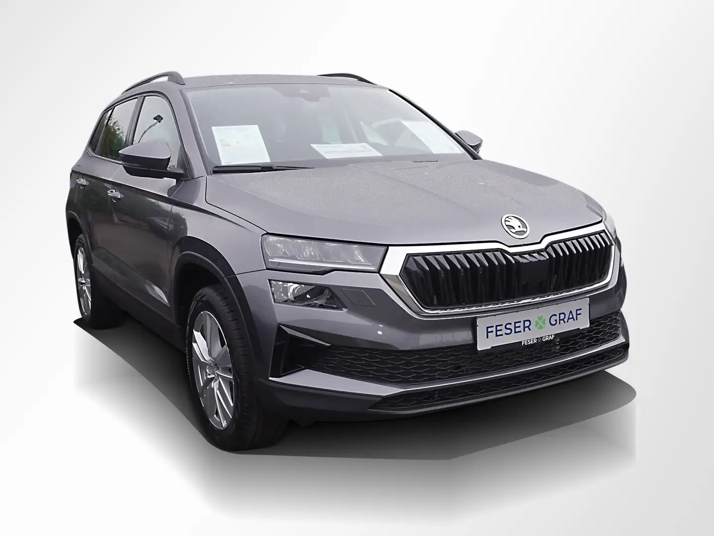 Skoda Karoq 1.5 TSI Selection DSG Navi RüKa Sitzh. Grau - 2