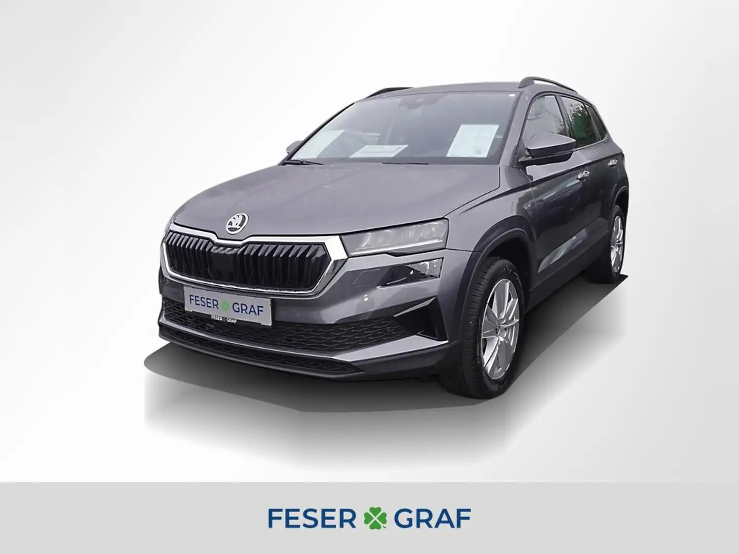 Skoda Karoq 1.5 TSI Selection DSG Navi RüKa Sitzh. Grau - 1