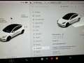 Tesla Model 3 Long Range Dual AWD Facelift Wärmepumpe Weiß - thumbnail 3