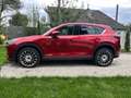 Mazda CX-5 CD184 AWD Revolution Top Aut. Rot - thumbnail 3