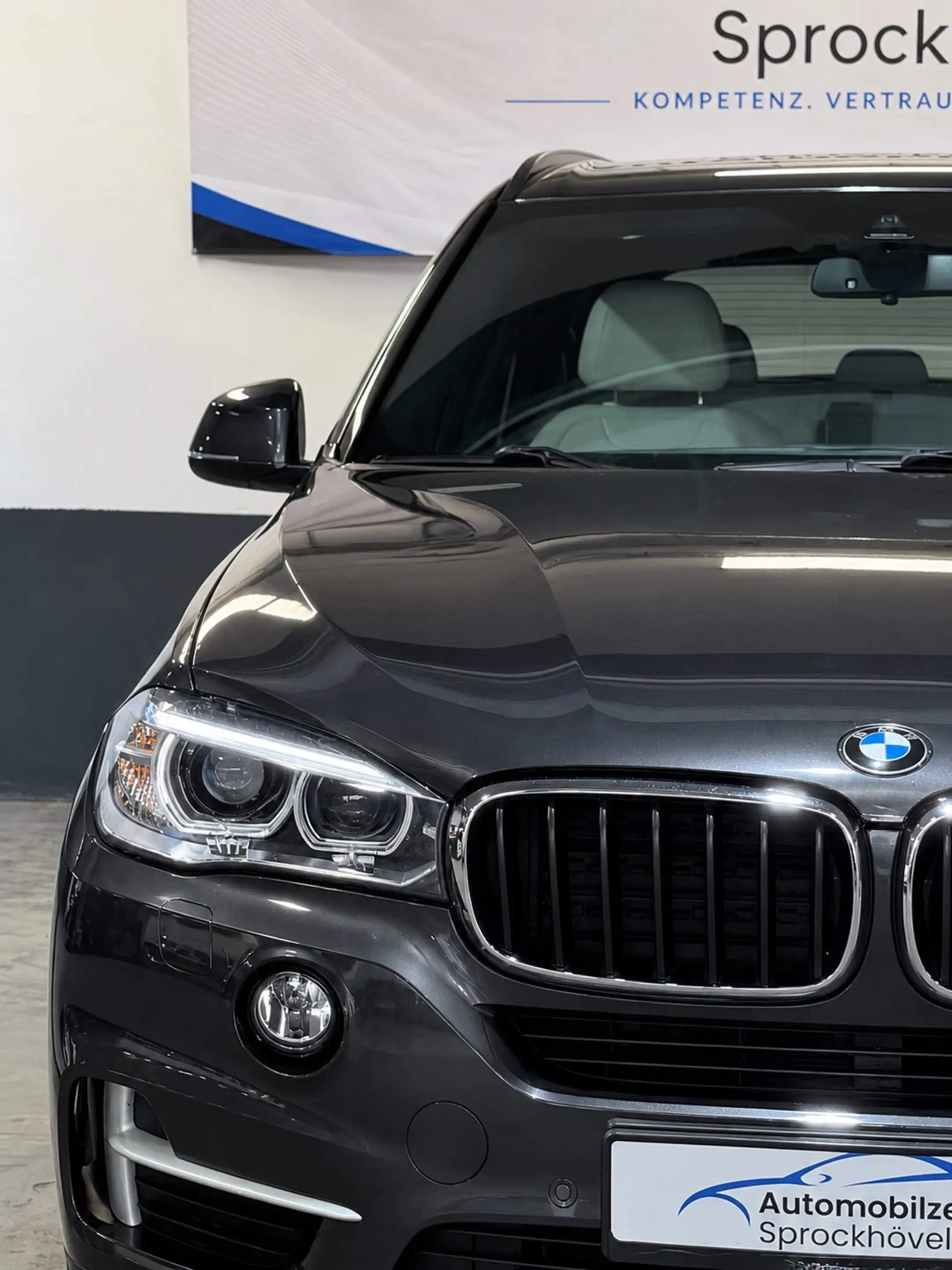 BMW X5 XDrive 30 d 2 Vorbes. LED Xenon Navi PDC Leder All — photo 4
