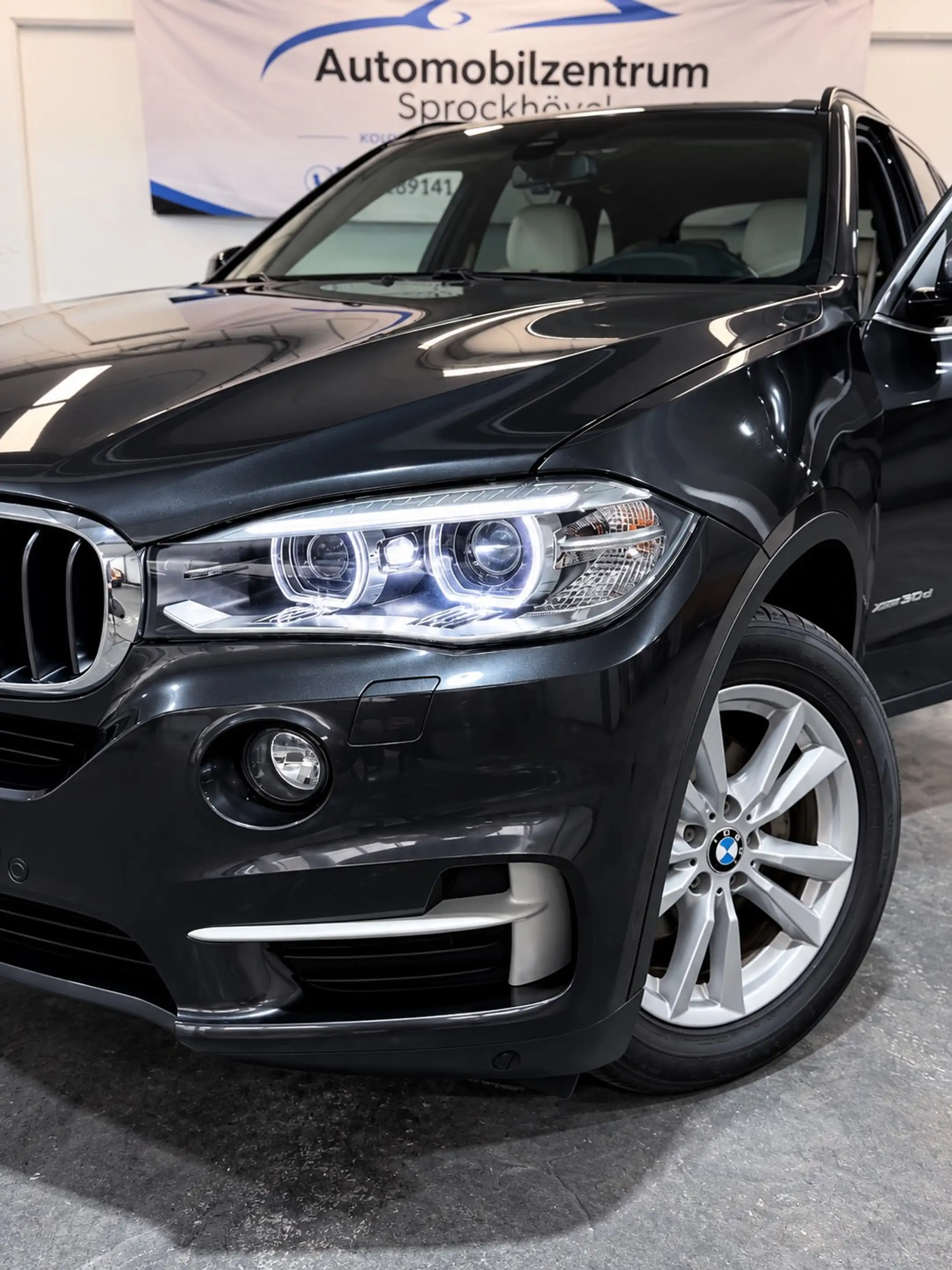 BMW X5 XDrive 30 d 2 Vorbes. LED Xenon Navi PDC Leder All — photo 11