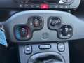 Fiat Panda 1.2 Lounge AIRCO HOGE INSTAP Wit - thumbnail 13