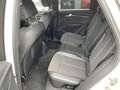 Audi Q5 SPORT Bianco - thumbnail 15