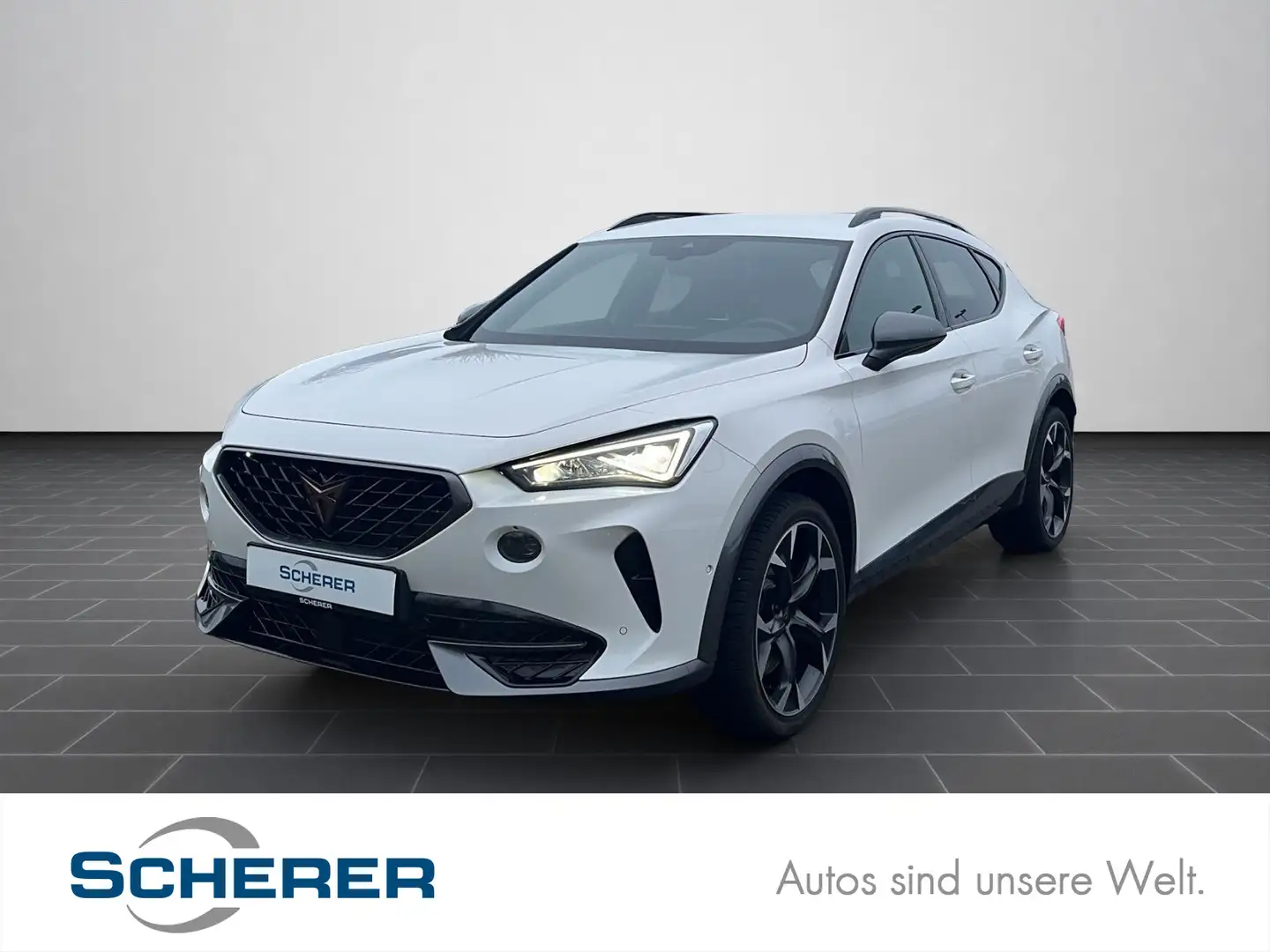 CUPRA Formentor VZ 2.0 TSI 4Drive Navi, DCC, Kessy, Wi Weiß - 1