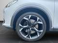 CUPRA Formentor VZ 2.0 TSI 4Drive Navi, DCC, Kessy, Wi Weiß - thumbnail 8