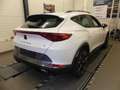CUPRA Formentor VZ 2.0 TSI 4Drive Navi, DCC, Kessy, Wi Weiß - thumbnail 3