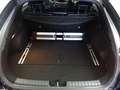 Kia ProCeed / pro_cee'd pro ceed 1,4 TGDI GPF GT-Line + Paket GT-Line Schwarz - thumbnail 13
