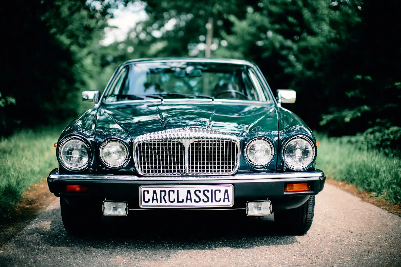 Jaguar Daimler Double Six V12 5,3l Grün - 2