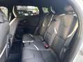 Volvo V40 Linje Svart LED NAV SHZ PDC RFK ALU Blanc - thumbnail 11