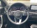 Kia Ceed / cee'd Ultimate Edition 1.0T Style Kamera Navi LED 17'' P Gris - thumbnail 8