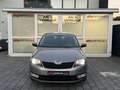 Skoda Rapid/Spaceback Spaceback Joy/DSG/Klima/Bi-Xen/Sitzheizung Beige - thumbnail 3