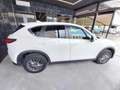 Mazda CX-5 2.2L Skyactiv-D 150 CV 2WD Business Bianco - thumbnail 7