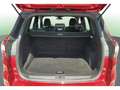 Ford Kuga 2.0TDCi Auto S&S ST-Line 4x2 150 Rojo - thumbnail 14