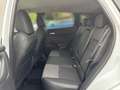 Nissan Qashqai QASHQAI MY24 1.5 VC-T e-POWER Blanc - thumbnail 11