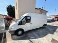 Ford Transit 100 L HD TD GL - thumbnail 6