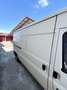 Ford Transit 100 L HD TD GL - thumbnail 1