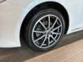 Kia Optima Wagon 1,7 CRDi ISG Gold Weiß - thumbnail 3