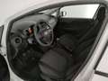 Fiat Punto 5 porte 1.2 street e6 - thumbnail 10