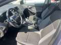 Ford Focus 5p 1.6 Titanium 115cv - thumbnail 7