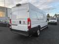 Fiat Ducato Maxi Grossr.-Kasten 35 180 L5H2 Blanc - thumbnail 5