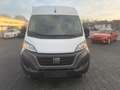 Fiat Ducato Maxi Grossr.-Kasten 35 180 L5H2 Blanc - thumbnail 11