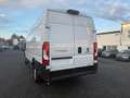 Fiat Ducato Maxi Grossr.-Kasten 35 180 L5H2 Blanc - thumbnail 7
