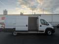 Fiat Ducato Maxi Grossr.-Kasten 35 180 L5H2 Blanc - thumbnail 18