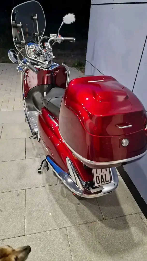 Alpha Red - 2