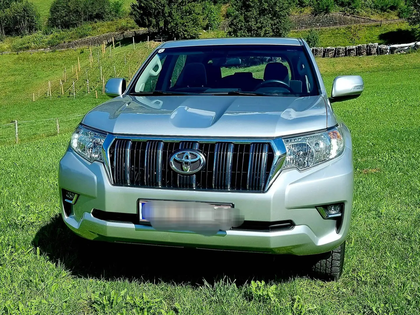 Toyota Land Cruiser Silber - 2