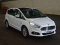 Ford S-Max Bi-Turbo Aut. Titanium Standhzg Leder Fehér - thumbnail 8