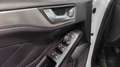 Ford Focus Sportbreak 1.5Ecoblue Titanium Bianco - thumbnail 11