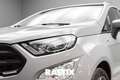 Ford EcoSport 1.0 ecoboost 125CV ST-Line Grigio - thumbnail 3