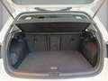 Volkswagen Golf 1.5 TGI DSG 5p. Business BlueMotion Technology Blanc - thumbnail 8
