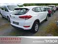 Hyundai TUCSON 1.6 Trend 2WD Nav LM RFK Klimaaut HU03/27 Weiß - thumbnail 3