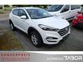 Hyundai TUCSON 1.6 Trend 2WD Nav LM RFK Klimaaut HU03/27 Weiß - thumbnail 2