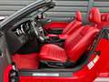 Ford Mustang USA 4.6 V8 GT ELEANOR CABRIO 48.000KM TOPSTAAT!!! Piros - thumbnail 14