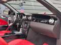 Ford Mustang USA 4.6 V8 GT ELEANOR CABRIO 48.000KM TOPSTAAT!!! Rot - thumbnail 17