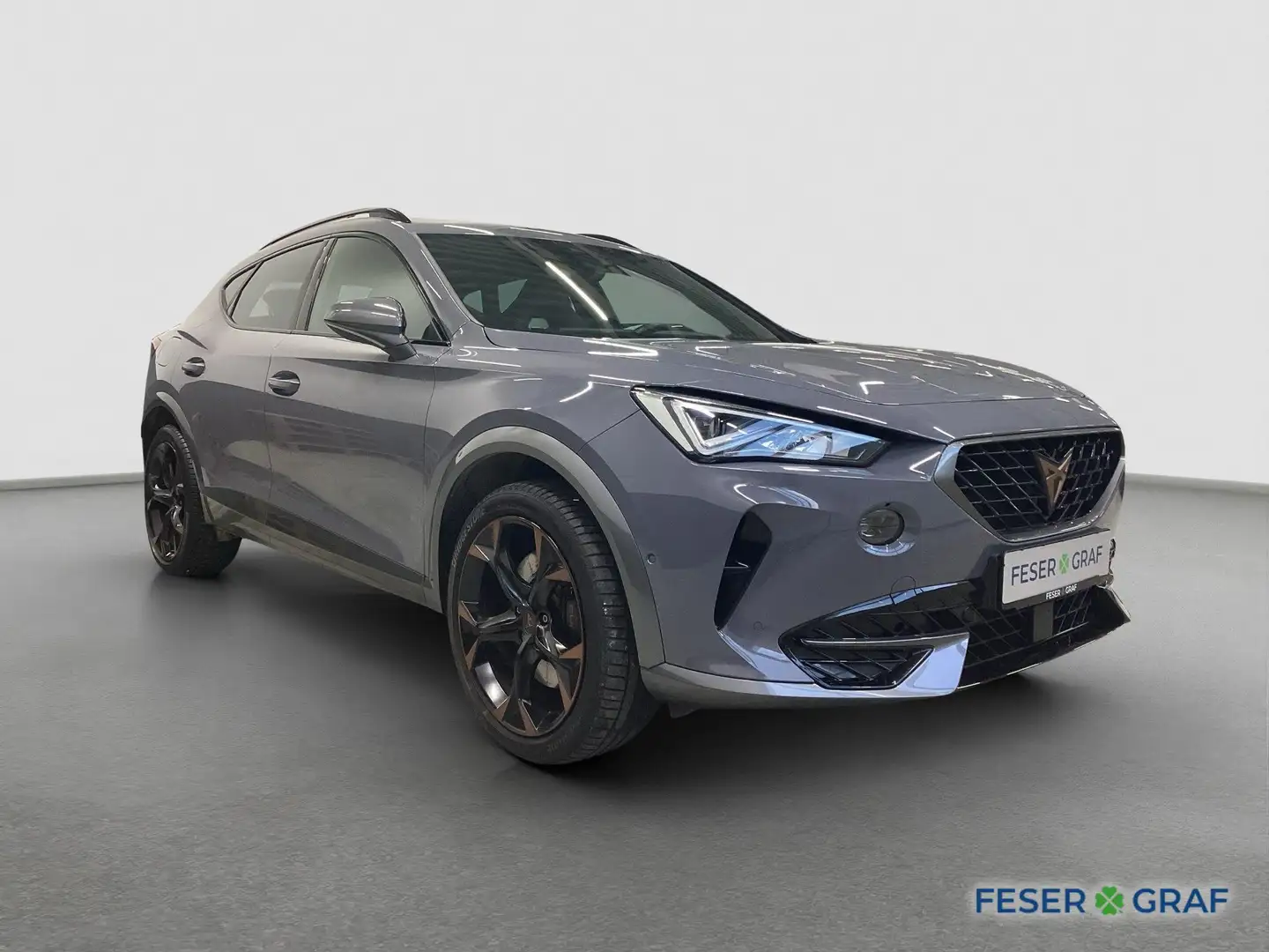 CUPRA Formentor VZ 1.4 TSI e-HYBRID Navi ACC RFK Keyless Grau - 2