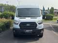 Ford Transit Transit Kasten DK 2,0 EcoBlue L3H2 350 Trend Bianco - thumbnail 2