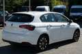 Fiat Tipo Tipo 1.3 Mjt S&S 5 porte Mirror Wit - thumbnail 4