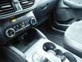 Ford Kuga Kuga 2.0 EcoBlue 120CV aut. AWD ST-Line X Bianco - thumbnail 12