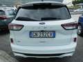 Ford Kuga Kuga 2.0 EcoBlue 120CV aut. AWD ST-Line X Bianco - thumbnail 5
