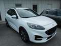 Ford Kuga Kuga 2.0 EcoBlue 120CV aut. AWD ST-Line X Bianco - thumbnail 3