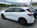 Ford Kuga Kuga 2.0 EcoBlue 120CV aut. AWD ST-Line X Bianco - thumbnail 6