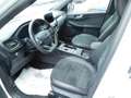 Ford Kuga Kuga 2.0 EcoBlue 120CV aut. AWD ST-Line X Bianco - thumbnail 7