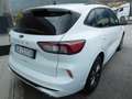 Ford Kuga Kuga 2.0 EcoBlue 120CV aut. AWD ST-Line X Bianco - thumbnail 4