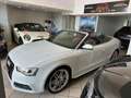 Audi A5 Cabrio2.0 TDI 177 CV Wit - thumbnail 4